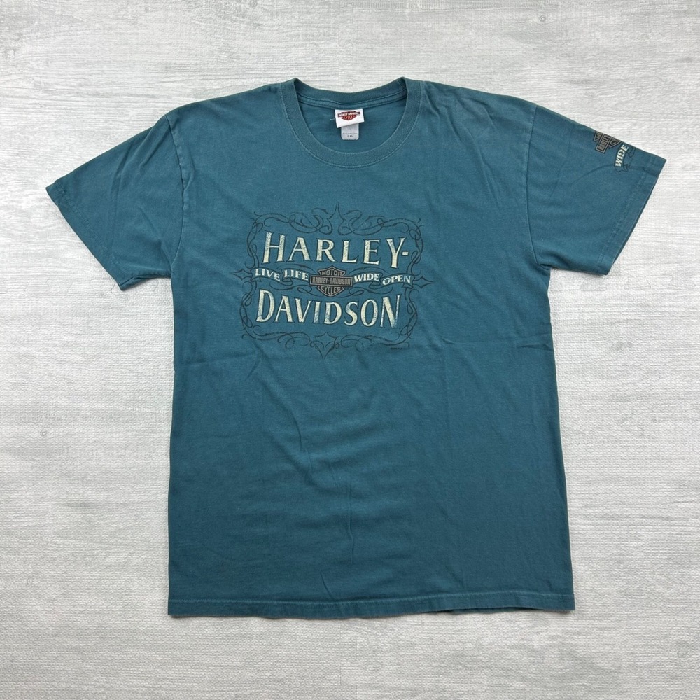 Vintage Harley Davidson Shirt Size Large Blue Orange Virginia Biker Motorcycle